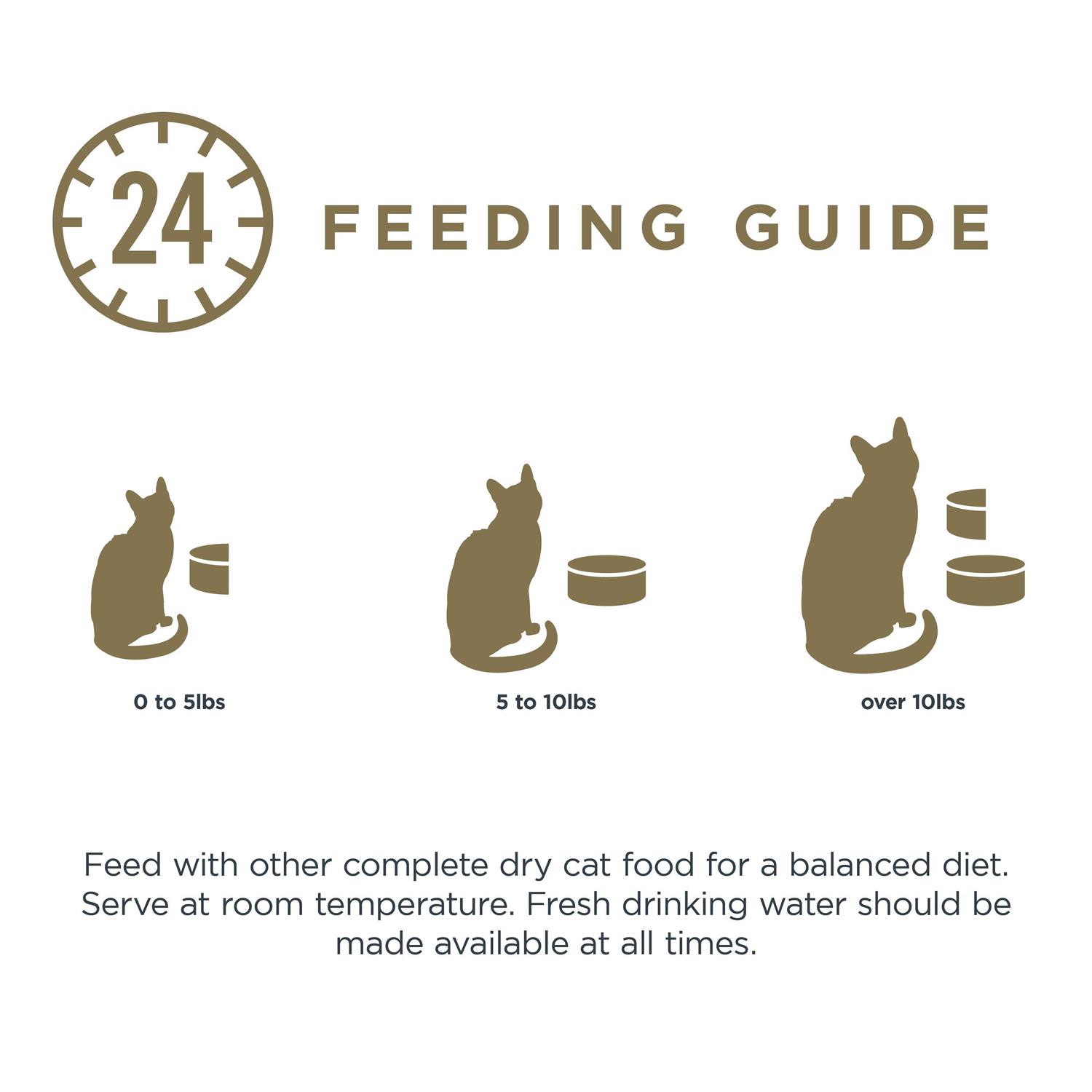 Reveal in Gravy Tuna Fillet Grain Free Cat Food - Nail Gallerys