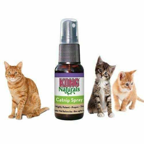 Kong Catnip Spray - Nail Gallerys