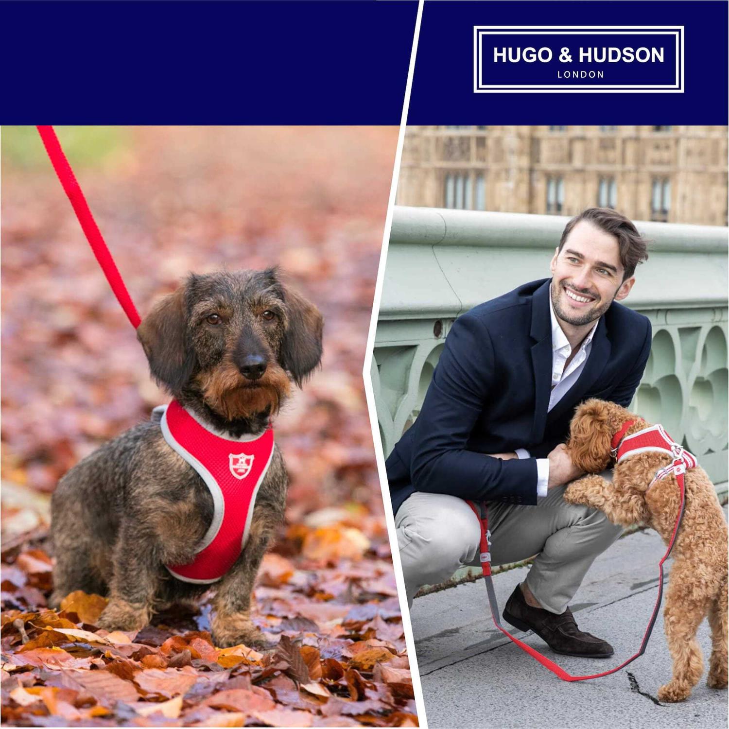 Hugo & Hudson Mesh Dog Collar - Nail Gallerys