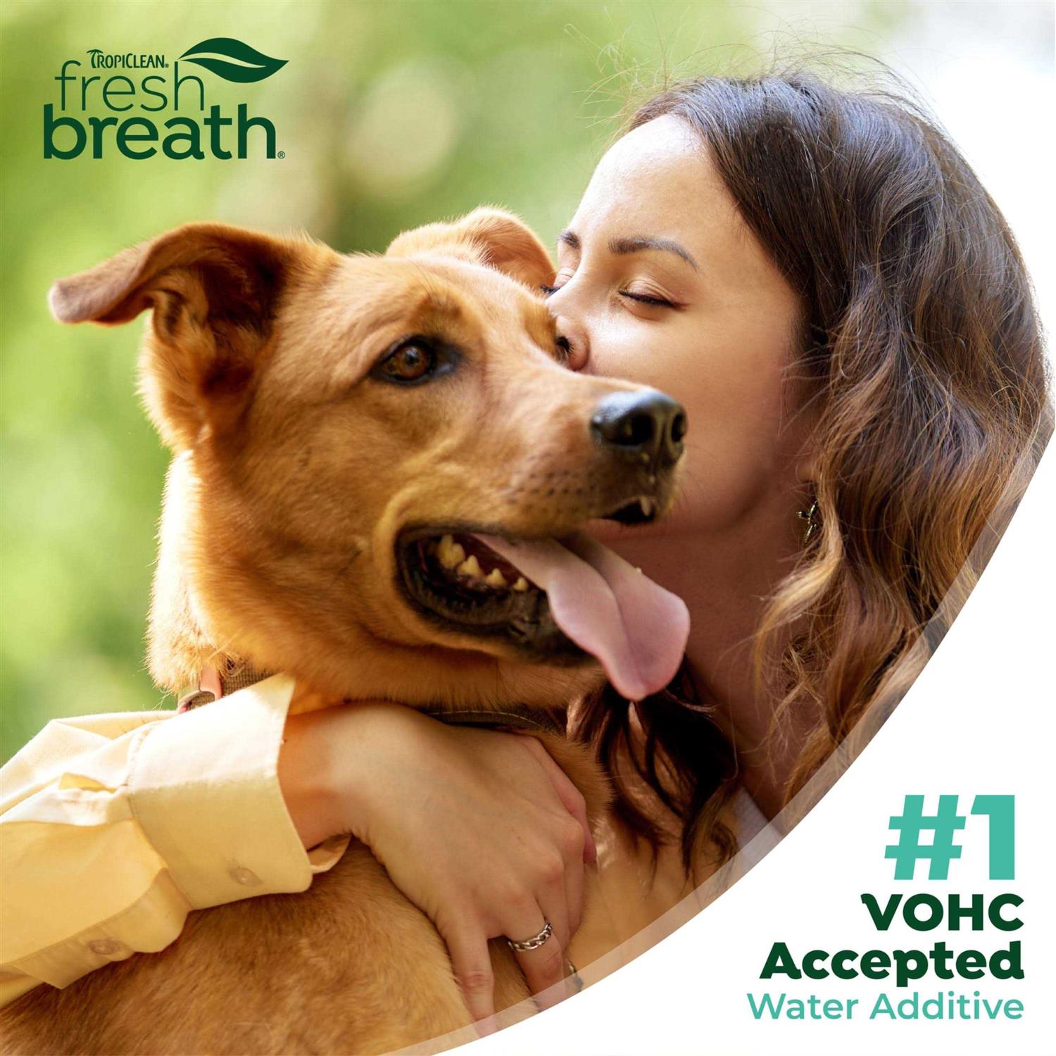 TropiClean Fresh Breath Original Dog Oral Care Water Additive Dog Breath Freshener Additive for Dental Health - Nail Gallerys