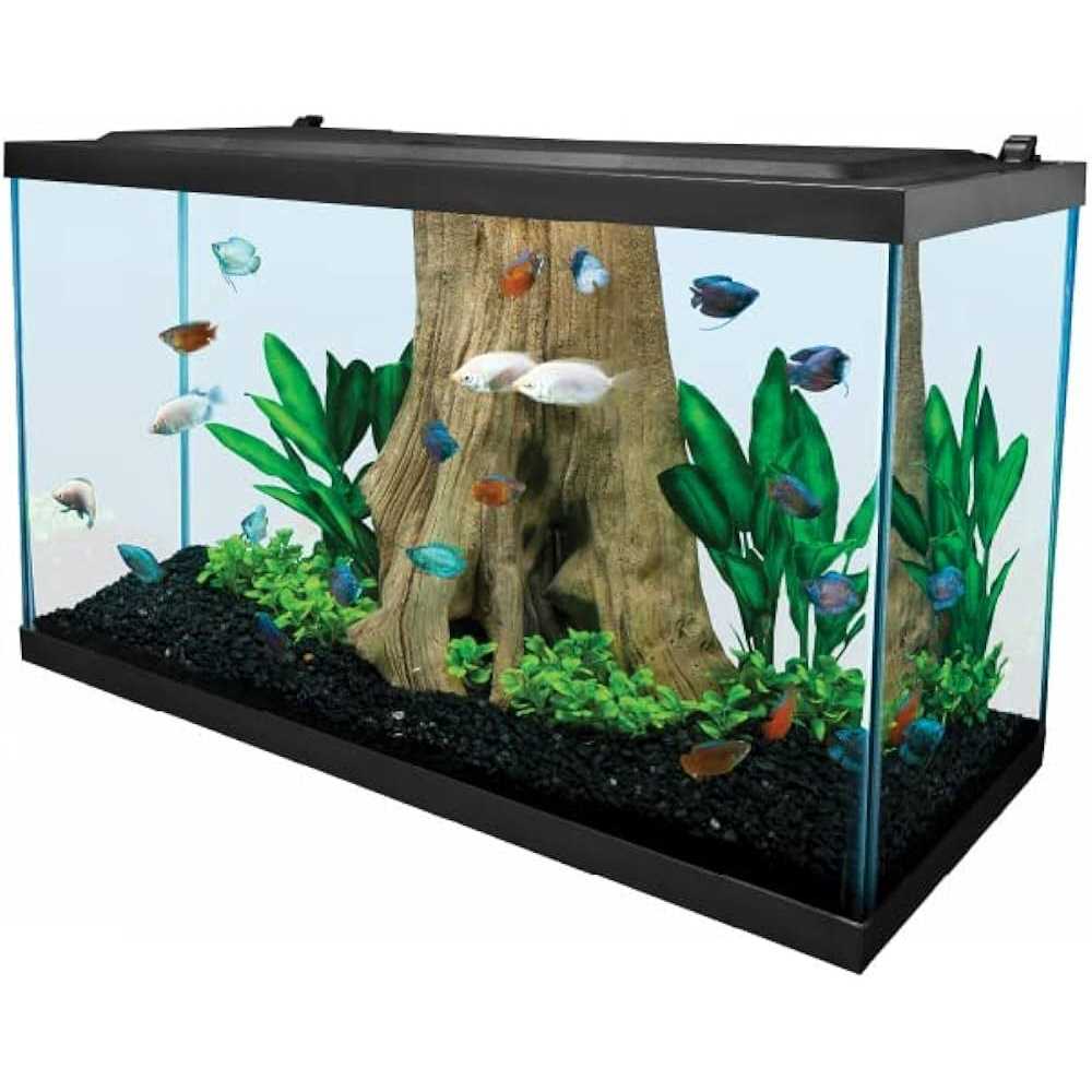 Tetra 29 Gallon Glass LED Aquarium Kit - Nail Gallerys