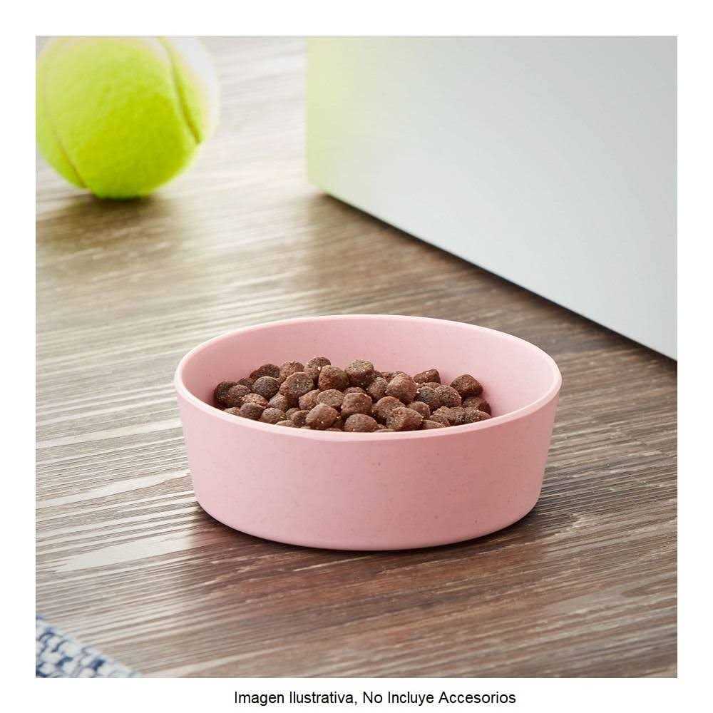 Vibrant Life Bamboo Melamine Dog Bowl - Nail Gallerys