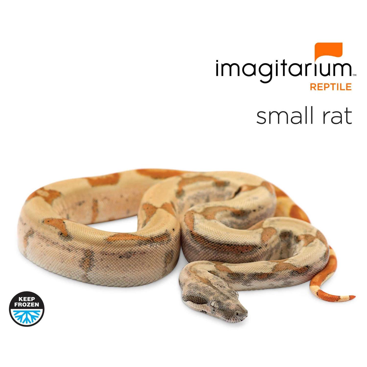 Frozen Small Rat - Nail Gallerys