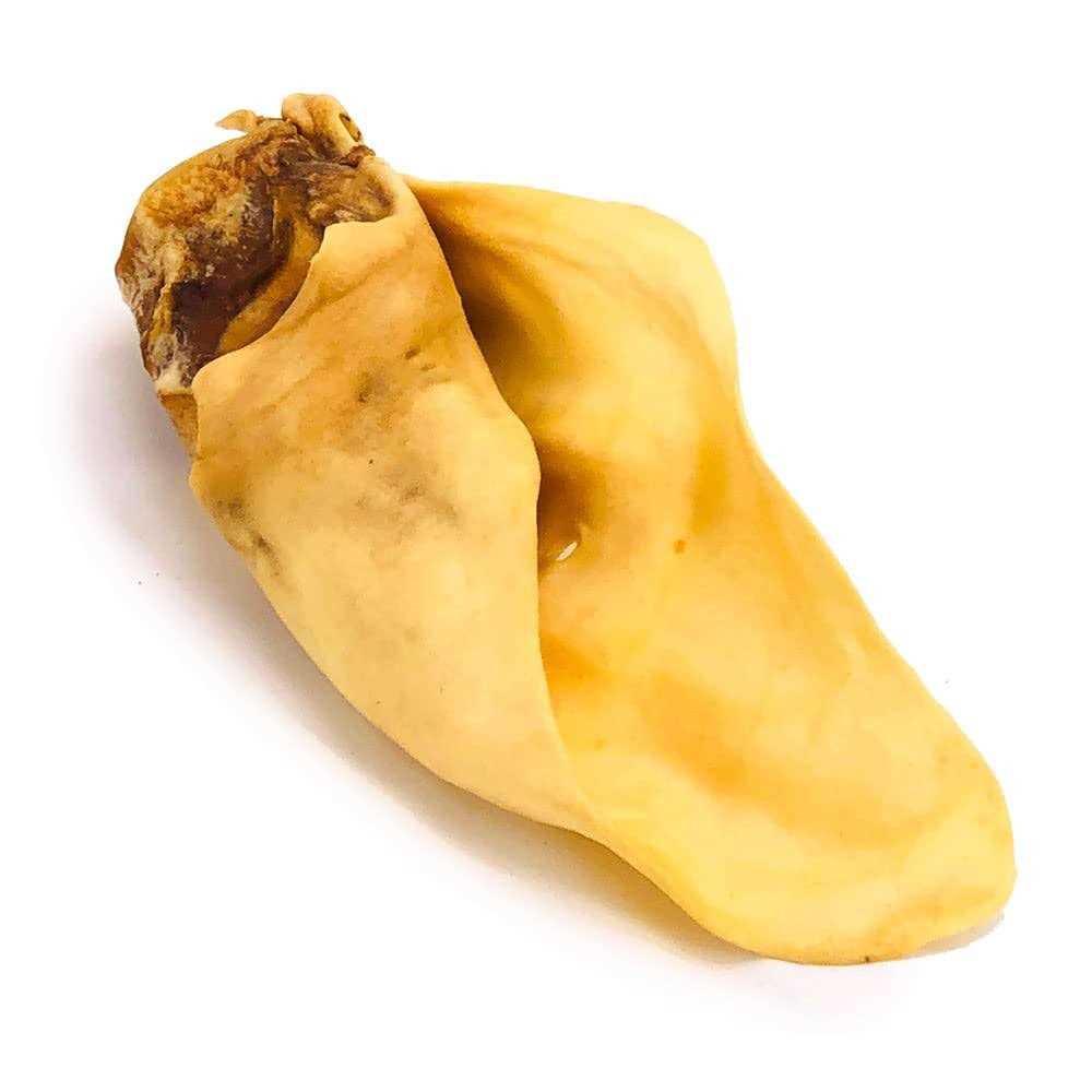 ValueBull Cow Ears Varied Shapes - Nail Gallerys