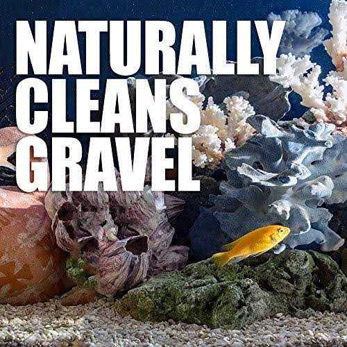 Natural Rapport Aquarium Gravel Cleaner The Only Gravel Cleaner Fish Need - Nail Gallerys