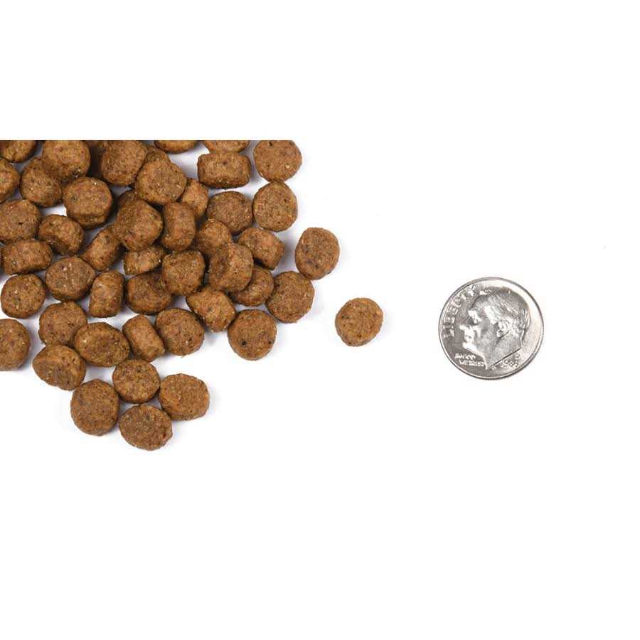 Fromm Classic Puppy Dog Food - Nail Gallerys
