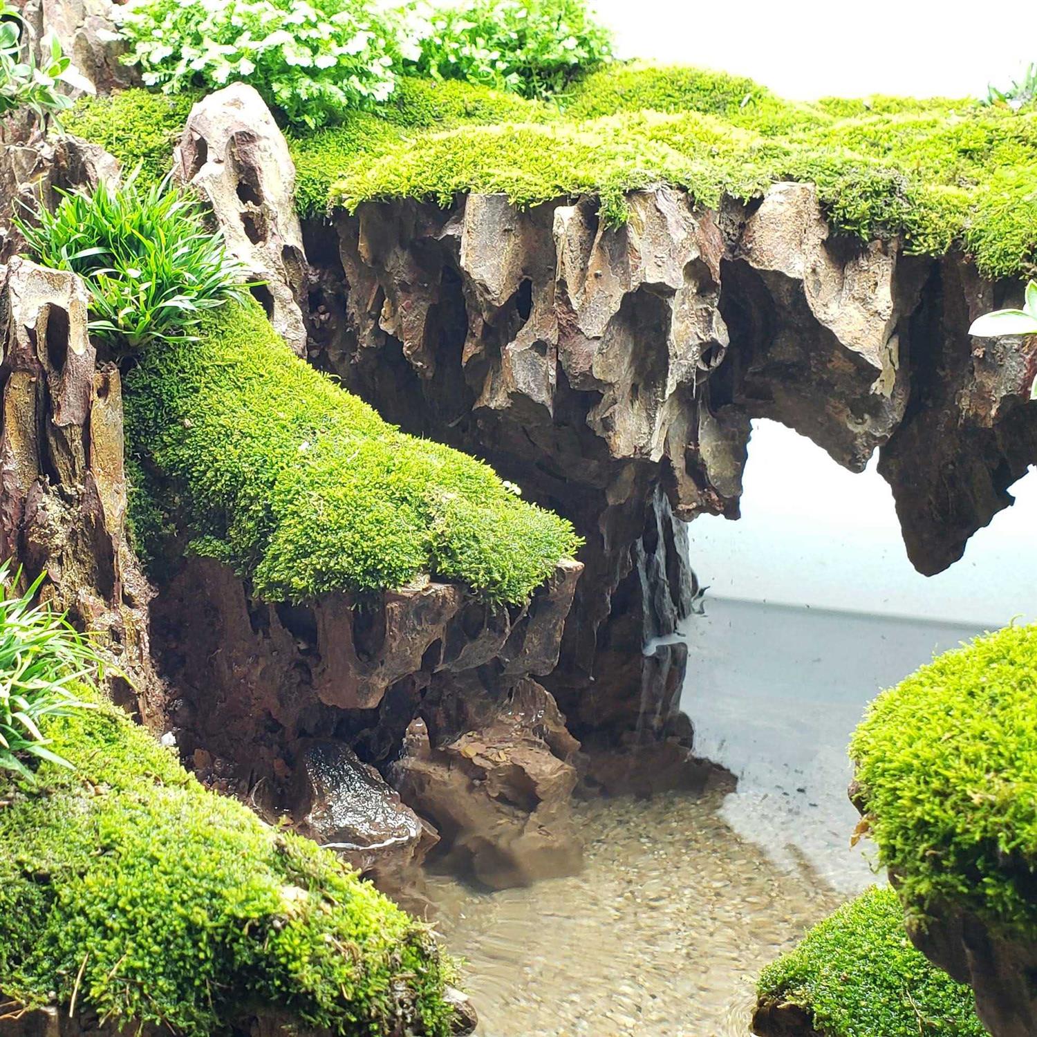 Lifegard Aquatics Dragon Songpi Ohko Rock 25 Gallon Kit - Nail Gallerys