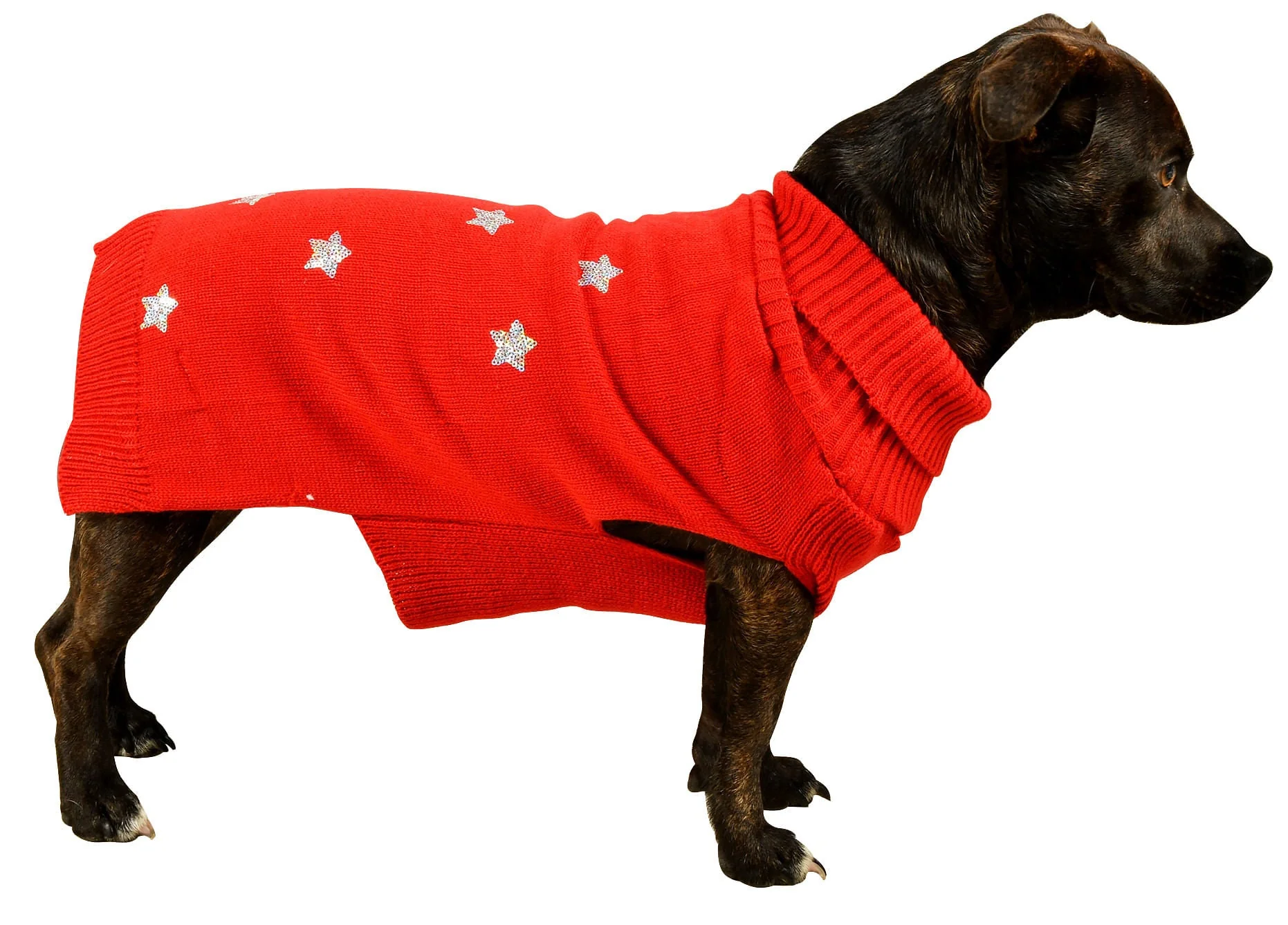 Sequin Stars Dog Sweater - Nail Gallerys