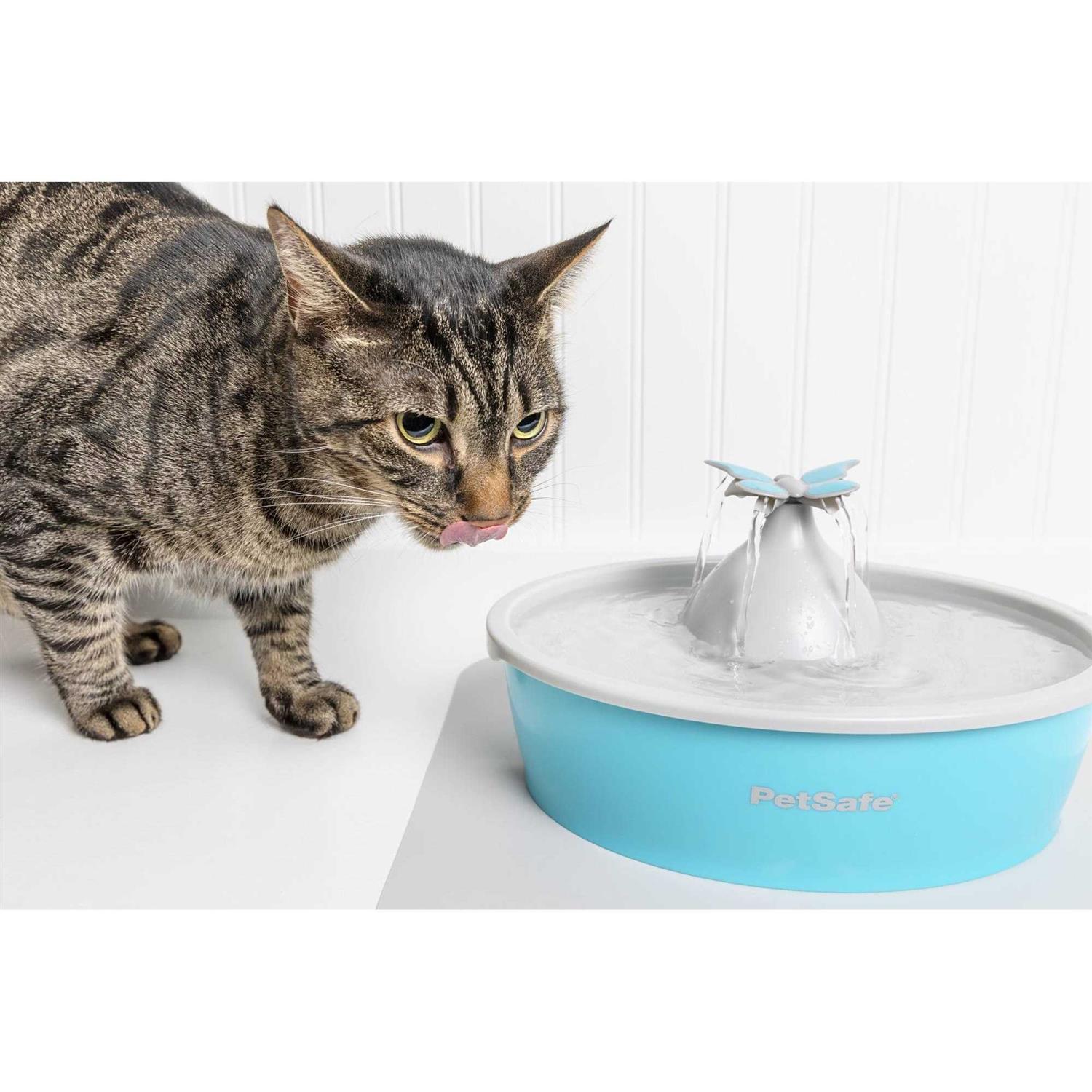 PetSafe Drinkwell Butterfly Pet Fountain - Nail Gallerys