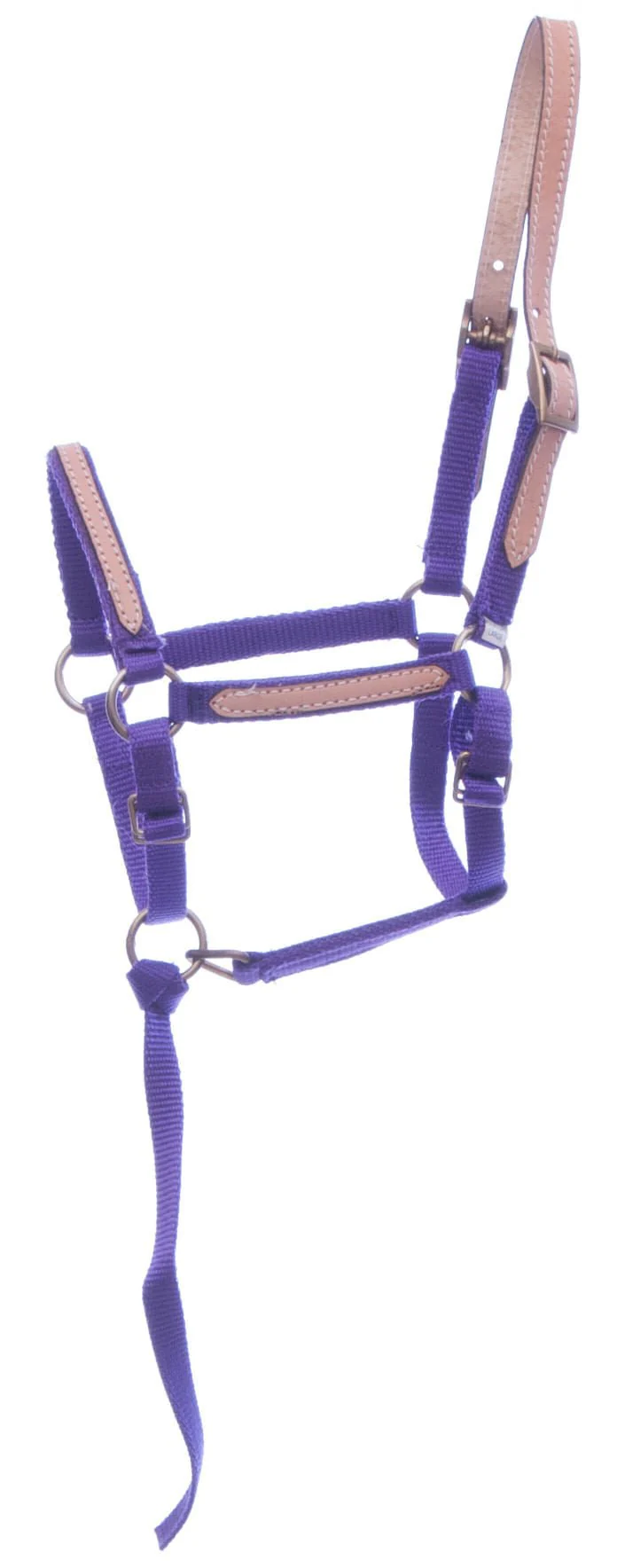 Tough1 Miniature Nylon Breakaway Halter, Large - Nail Gallerys