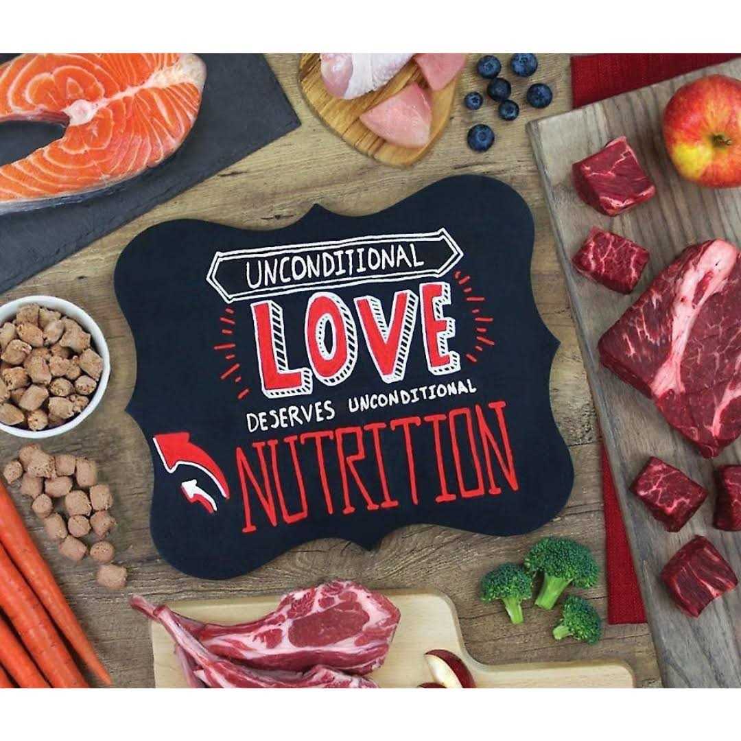 Stella & Chewy’s Freeze Dried Wild Weenies Dog Treats - Nail Gallerys