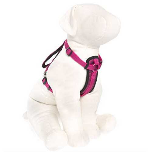 Kong Comfort Padded Chest Plate Dog Harness - Nail Gallerys