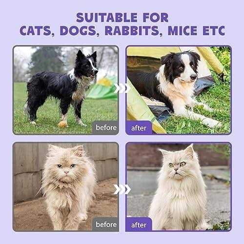 HICC PET Cleaning Deodorizing Bathing Wipes for Dogs and Cats - Nail Gallerys