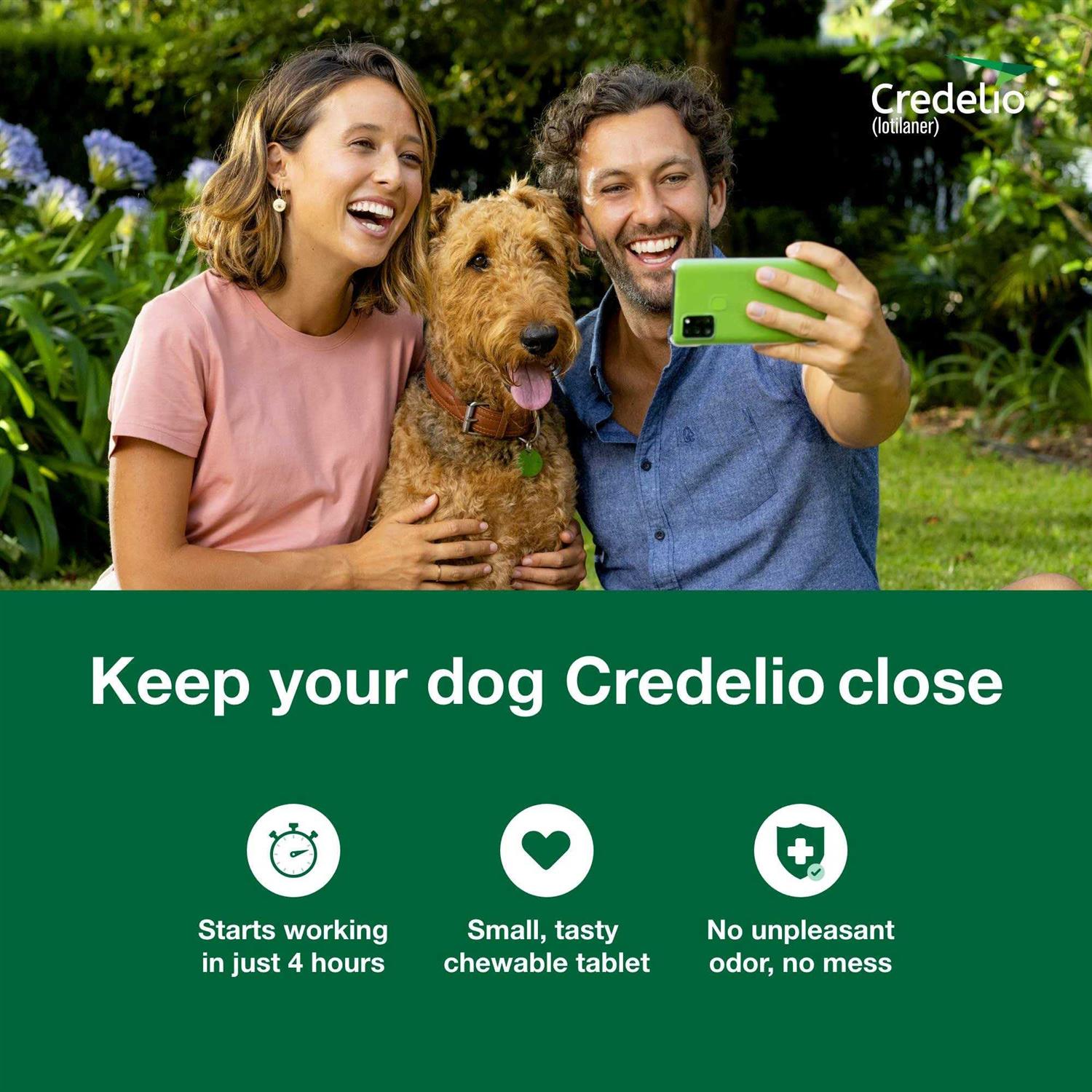 Credelio Chewable Tablet for Dogs - Nail Gallerys
