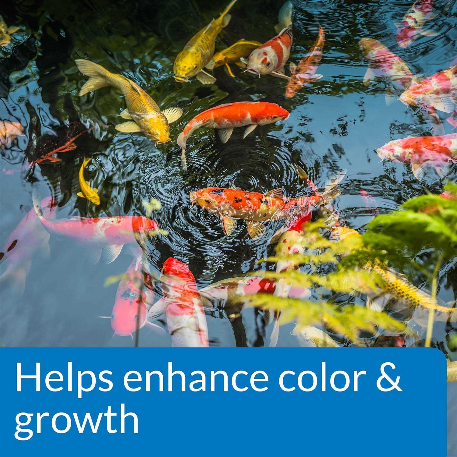 API Pond Fish Food - Nail Gallerys