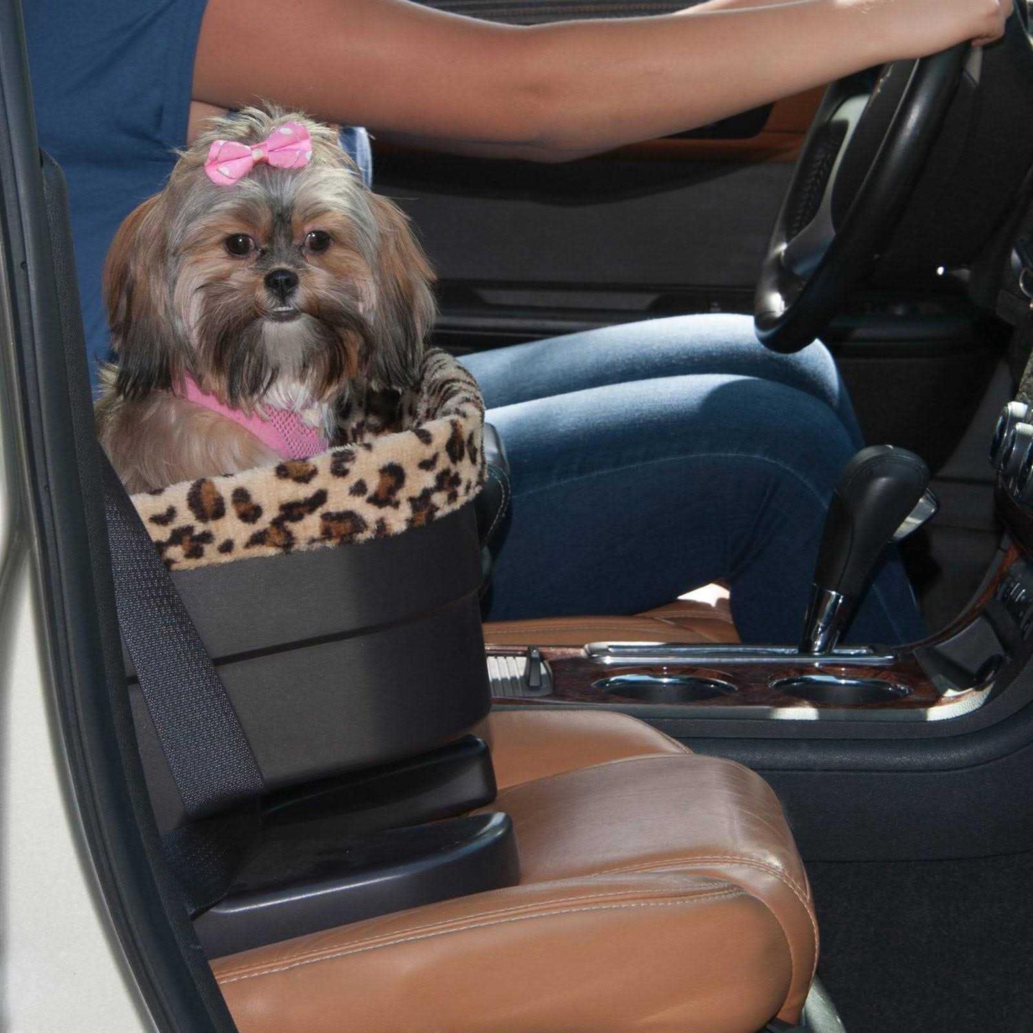 Pet Gear Bucket Booster Seat - Nail Gallerys