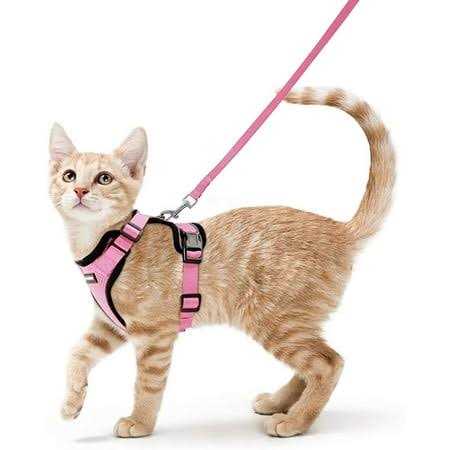 Rabbitgoo Cat Harness and Leash for Walking Escape Proof Soft Adjustable Vest Harnesses for Cats - Nail Gallerys