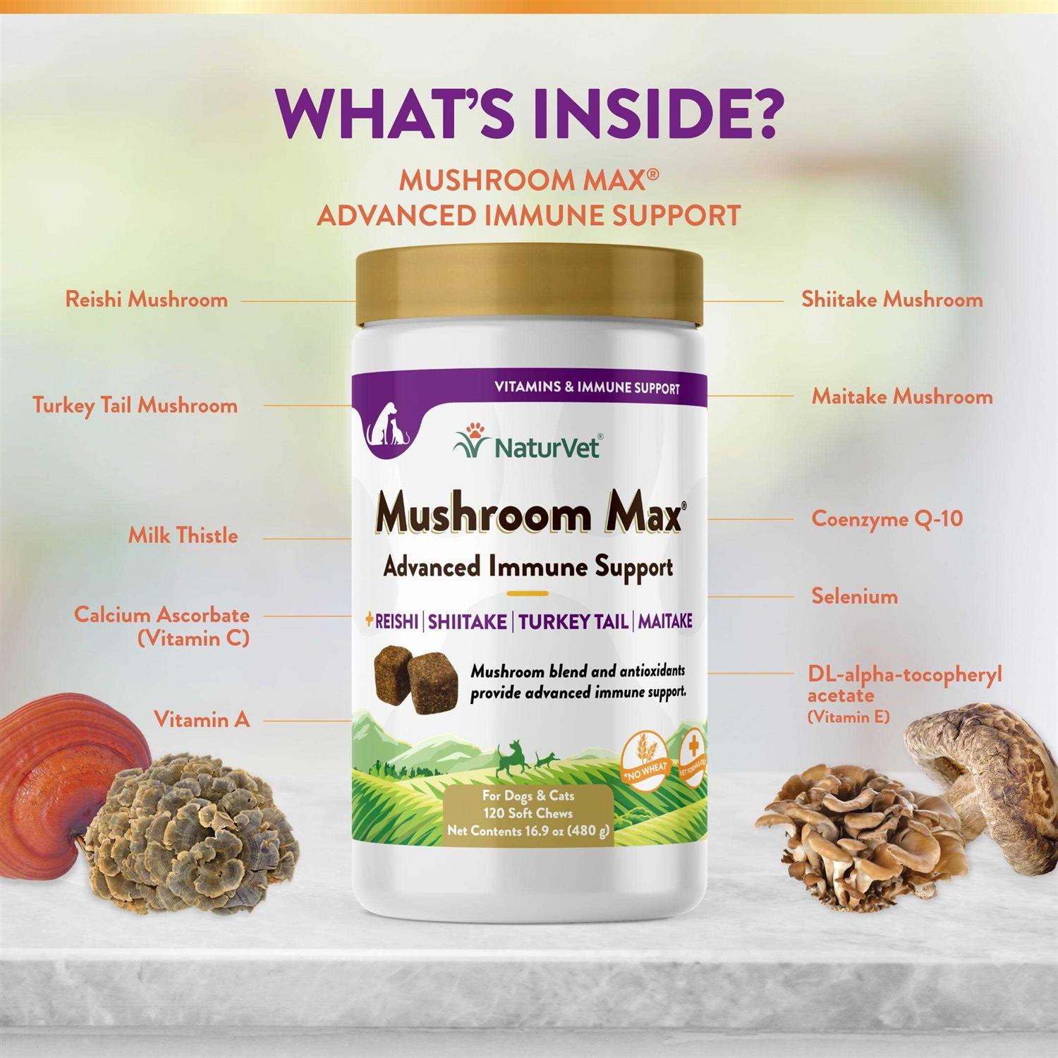 NaturVet Mushroom Max Advanced Immune Support Soft Chews for Dogs & Cats - Nail Gallerys