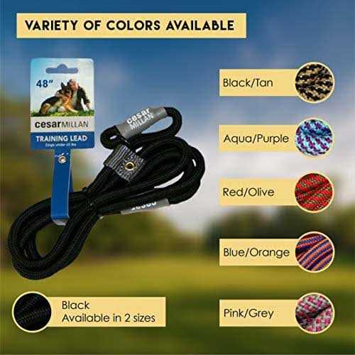 Cesar Millan Slip Lead Leash 2-in-1 Slip Collar Dog Training Lead & Collar - Nail Gallerys