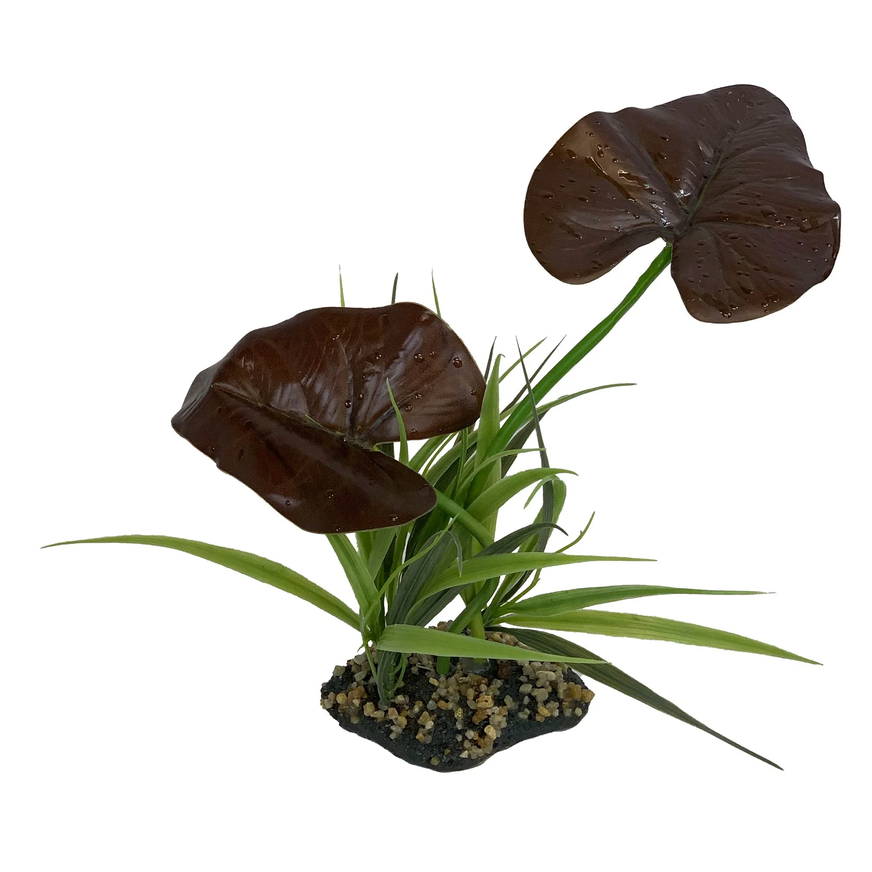 Komodo Canopy - Nail Gallerys