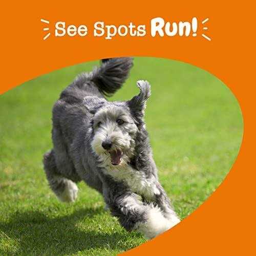 Zesty Paws Stay Green Bites for Dogs - Nail Gallerys