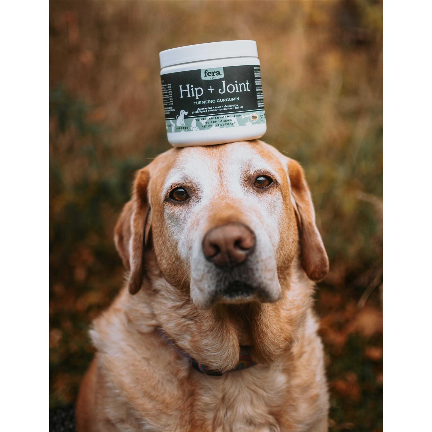 Fera Pet Organics Hip & Joint Soft Chew Dog Supplement - Nail Gallerys