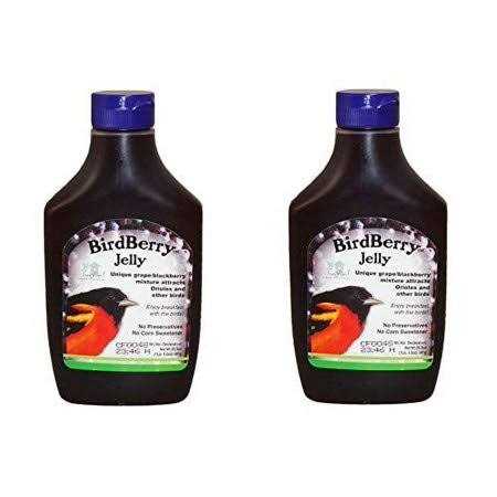 Songbird Essentials Birdberry Jelly 20 oz - Nail Gallerys