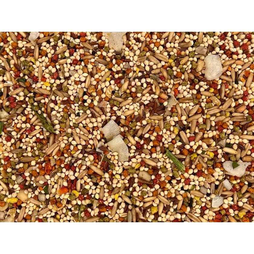 Higgins Sunburst Gourmet Blend Parakeet Food - Nail Gallerys