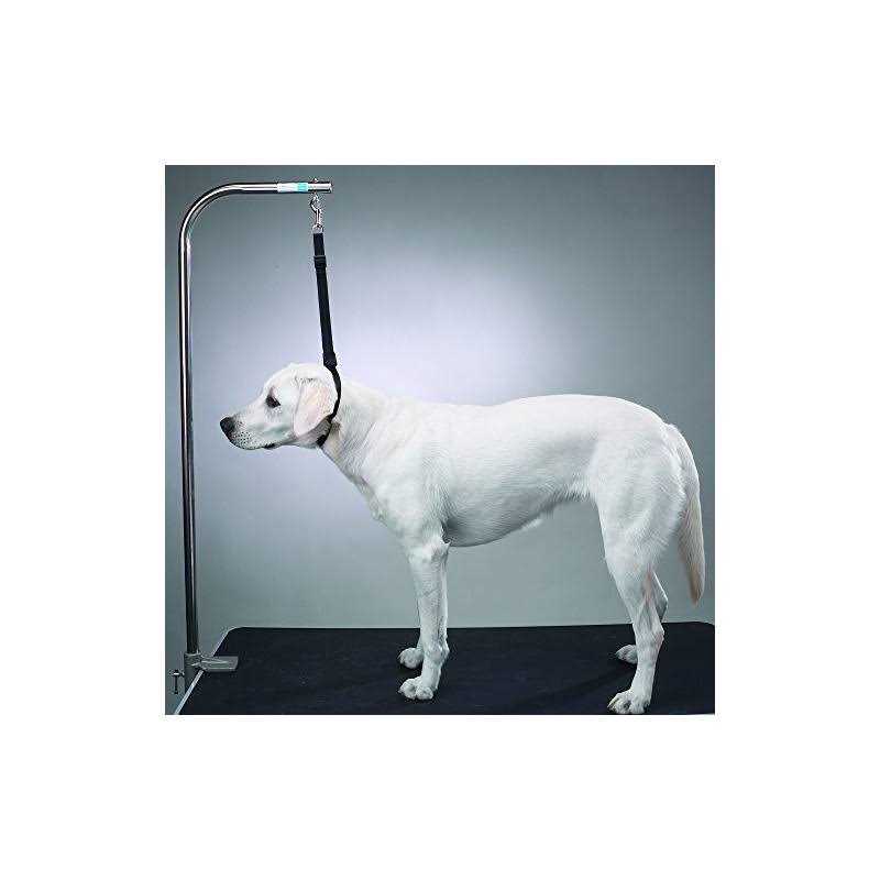 Top Performance Nylon Table Harness 27 - Nail Gallerys