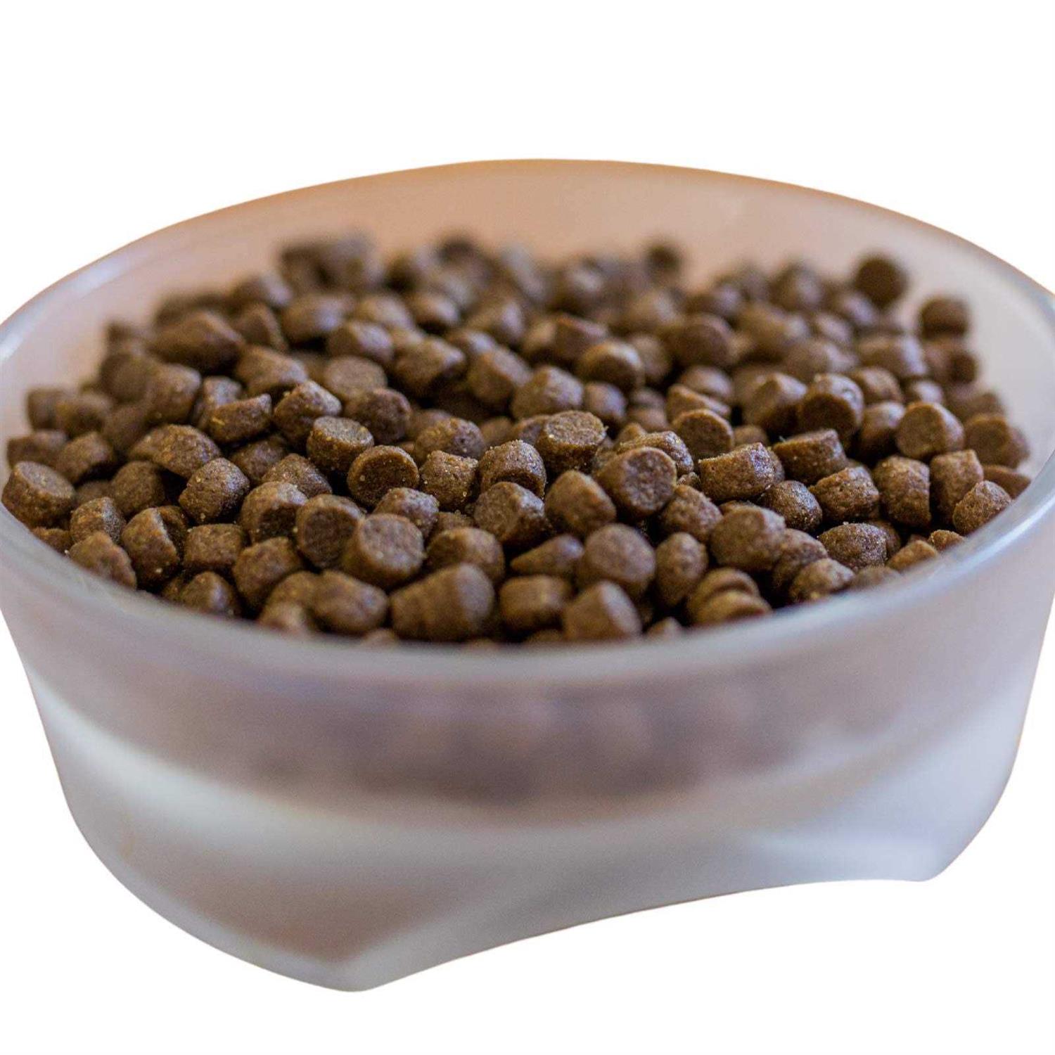 Dr. Tim’s Kinesis All Life Stages Dry Dog Food - Nail Gallerys