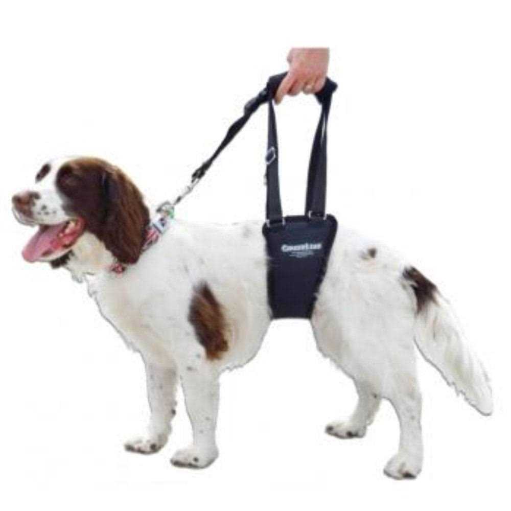 GingerLead Dog Support Rehabilitation Harness - Nail Gallerys
