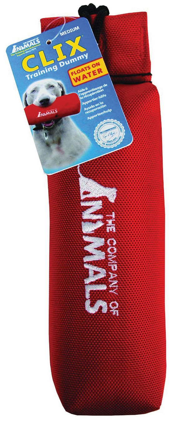 CLIX Canvas Training Dummy - Nail Gallerys