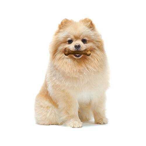 Nylabone Healthy Edibles Dog Treats - Nail Gallerys