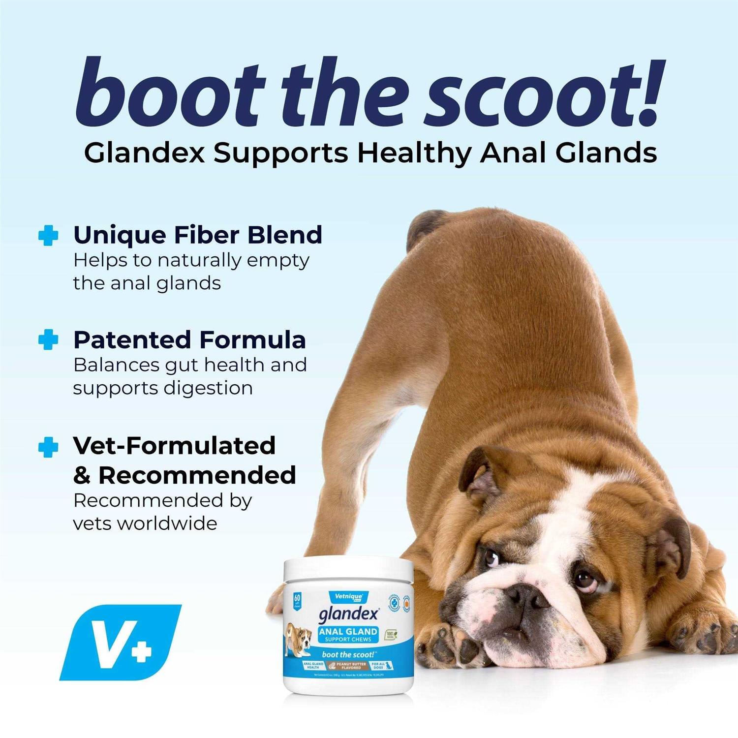 Glandex Anal Gland Support Peanut Butter Chews for Dogs - Nail Gallerys