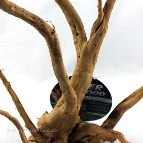 Zoo Med Spider Wood - Nail Gallerys