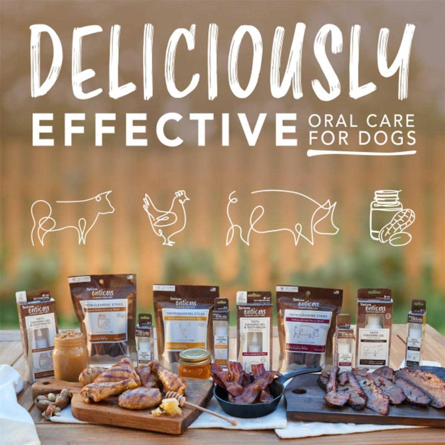 Tropiclean Enticers Teeth Cleaning Gel & Kong Dental Ball Beef Brisket - Nail Gallerys