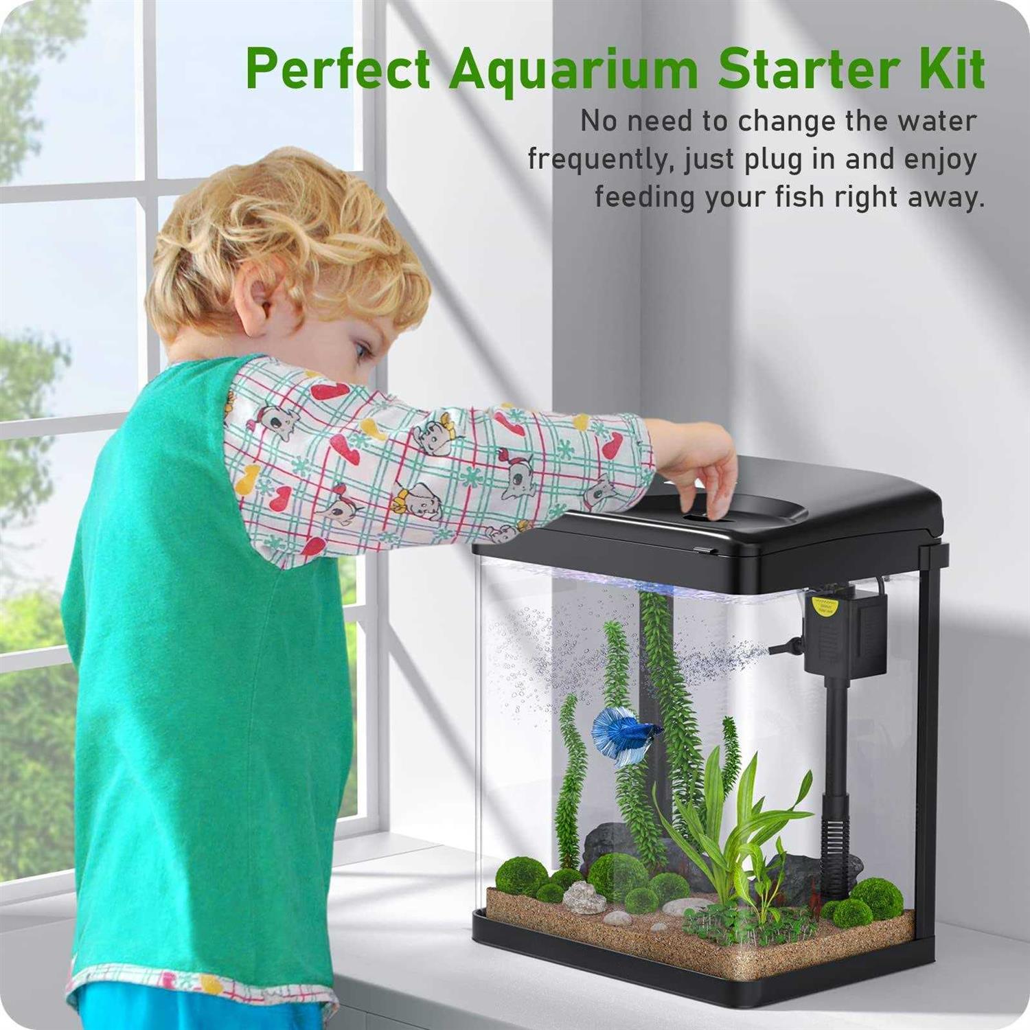 PONDON Betta Fish Tank, 2 Gallon Glass Aquarium, 3 in 1 Fish Tank with Filter and Light - Nail Gallerys