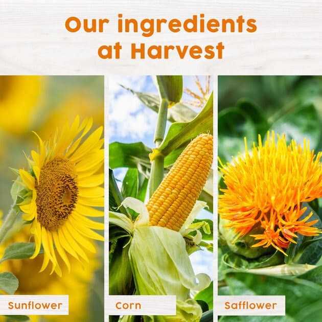 Harvest Seed & Supply Hot Pepper Snack Stack Corn Free Wild Bird Food - Nail Gallerys