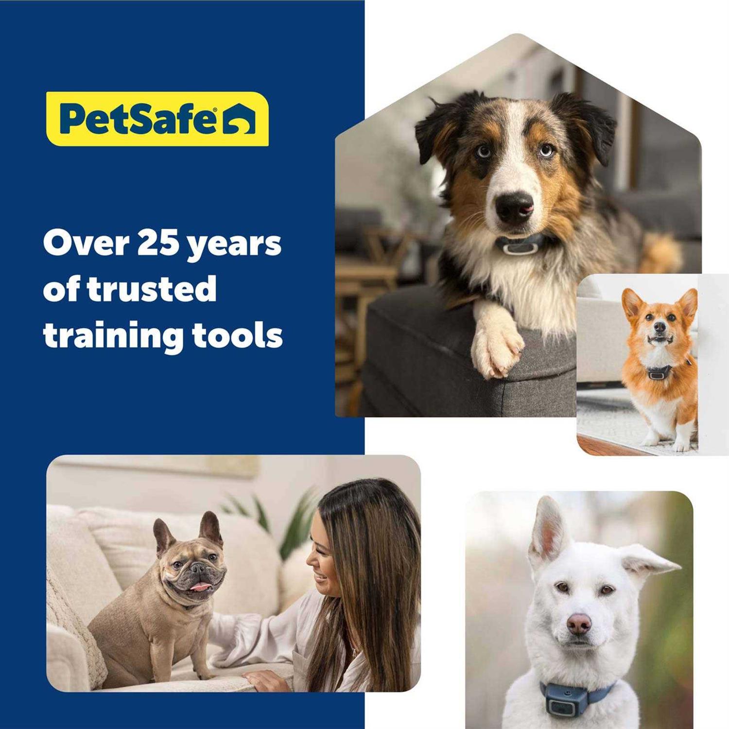 PetSafe 300 Yard Remote Trainer - Nail Gallerys