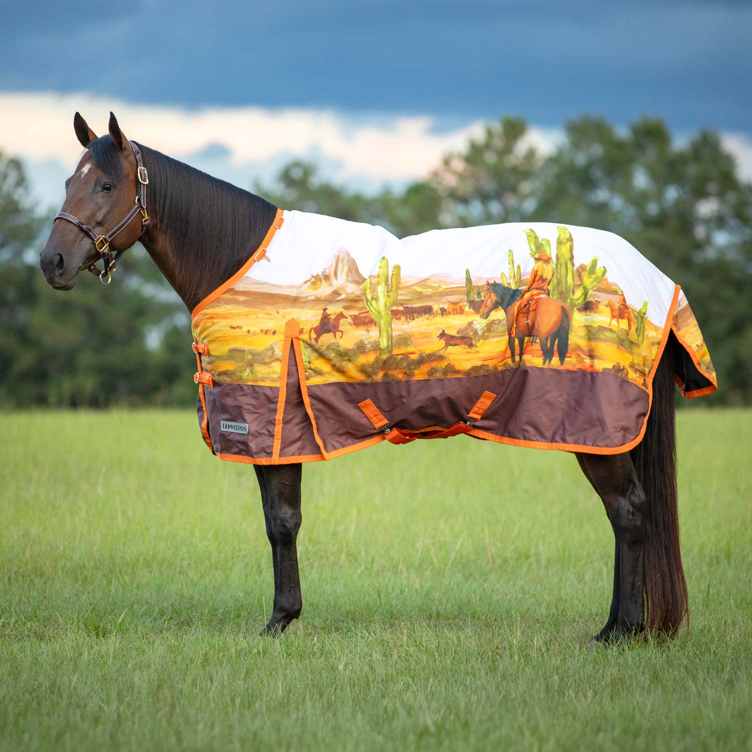 Expression 1200 Denier Standard Neck Turnout Blanket, 240 Gram, Cattle Drive - Nail Gallerys