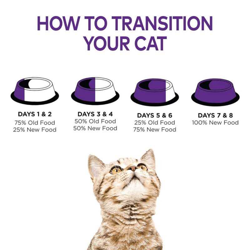 Wellness Cat Food - Nail Gallerys