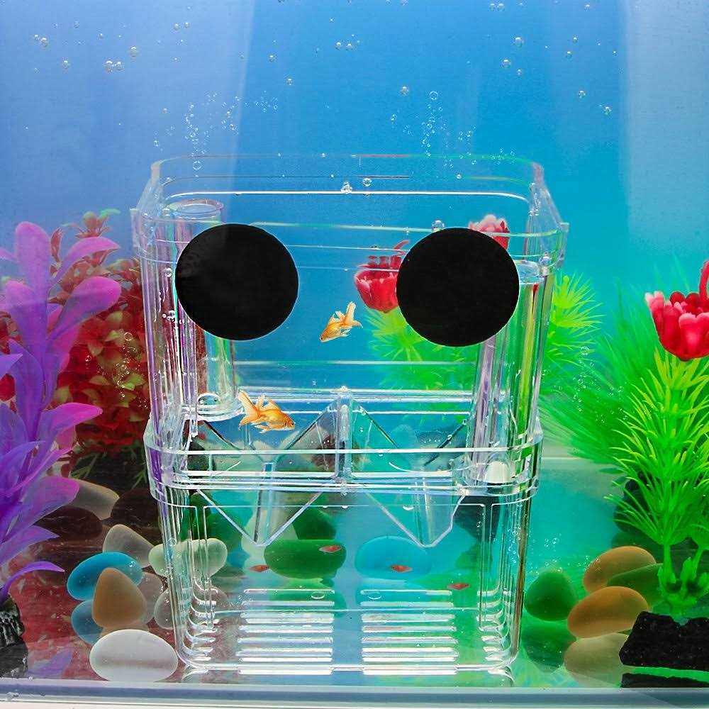 Senzeal Aquarium Fish Breeder Box Plastic Fish Isolation Breeding Box Hatching Incubator Box for Baby Fish Shrimp Clownfish Guppy - Nail Gallerys