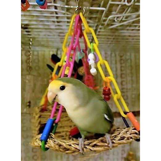 Super Bird Creations SB747 Mini Flying Trapeze Bird Toy - Nail Gallerys