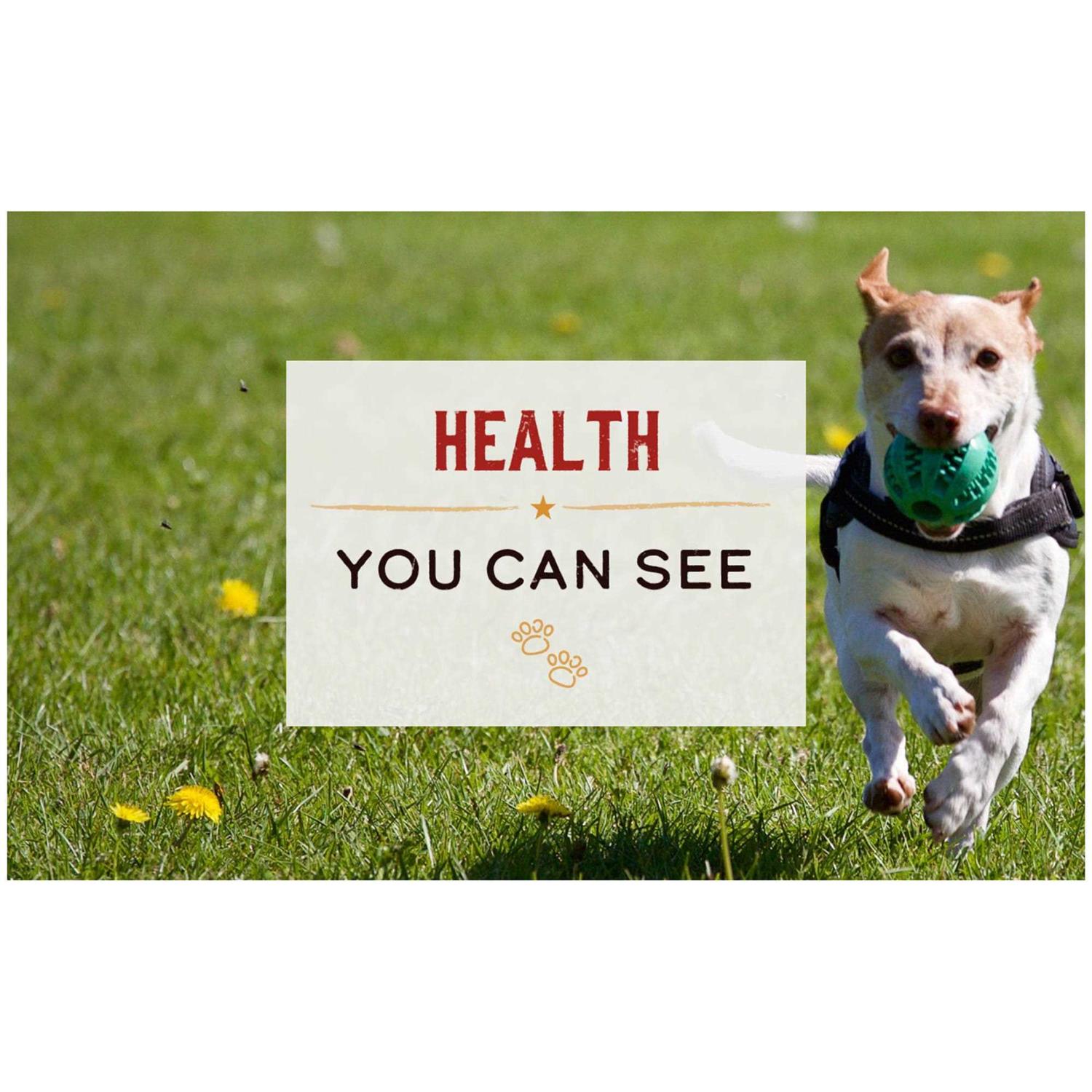 Merrick Limited Ingredient Diet Chicken & Brown Rice Wet Dog Food - Nail Gallerys