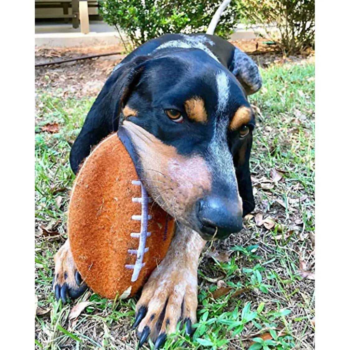 Nylabone Power Play Football Gripz Dog Toy - Nail Gallerys
