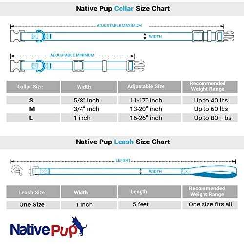 Native Pup Valentines Day Heart Dog Collar - Nail Gallerys