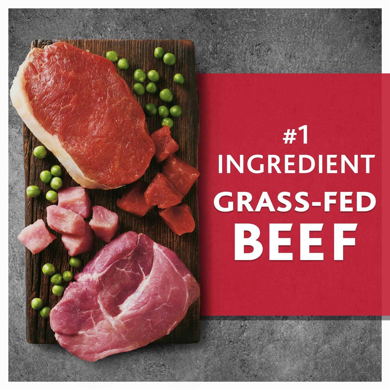 Pure Balance Wild & Free Beef & Wild Boar Recipe Dry Dog Food - Nail Gallerys