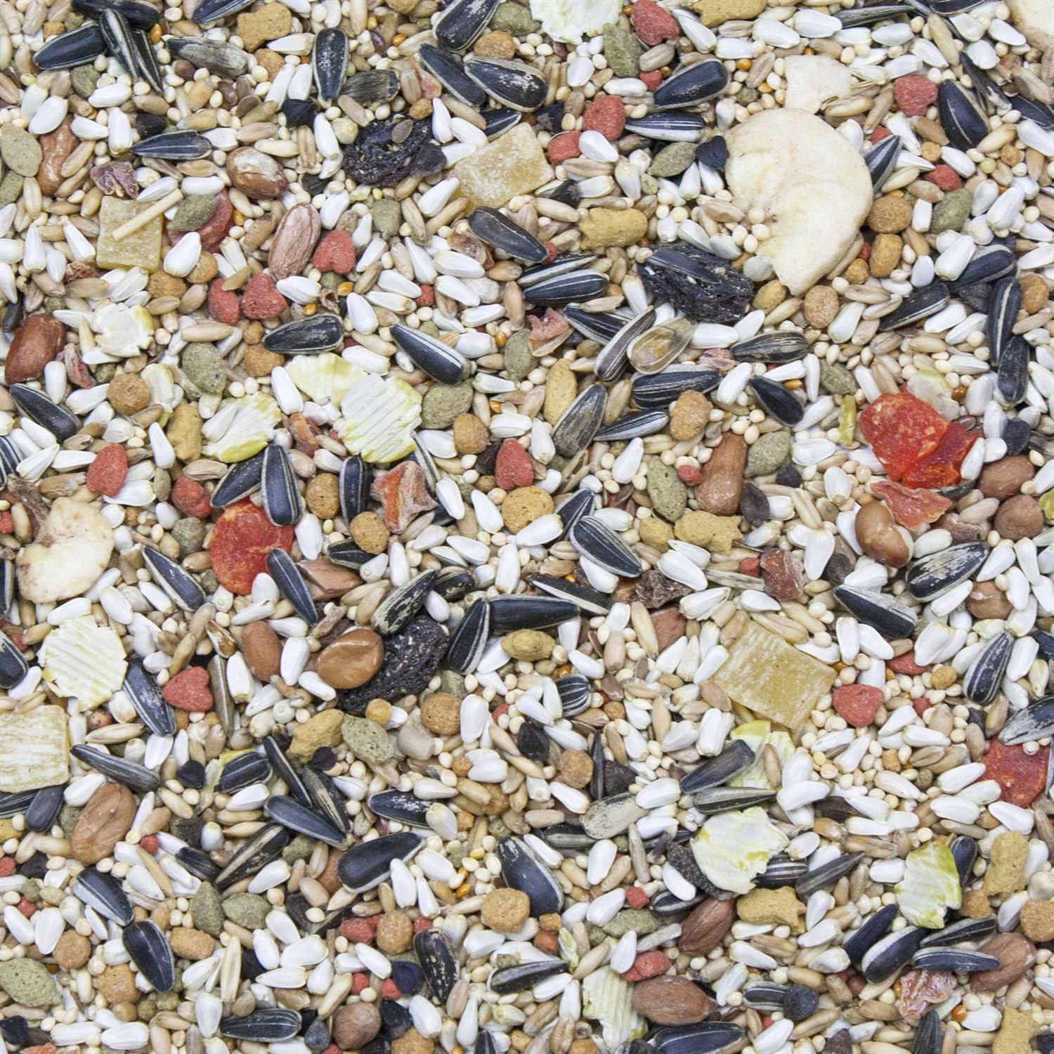 Higgins Vita Seed Conure & Lovebird Food - Nail Gallerys