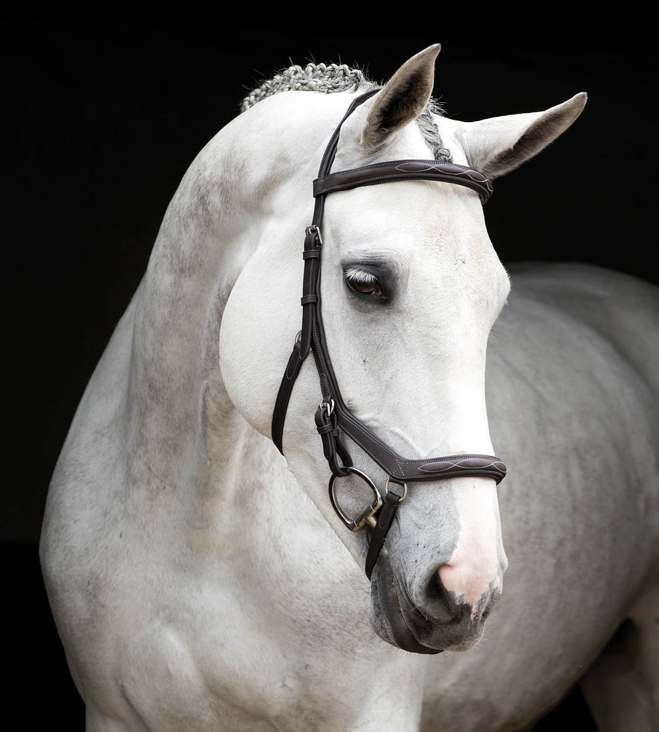 Rambo Micklem Deluxe Competition Bridle, Dark Havana - Nail Gallerys