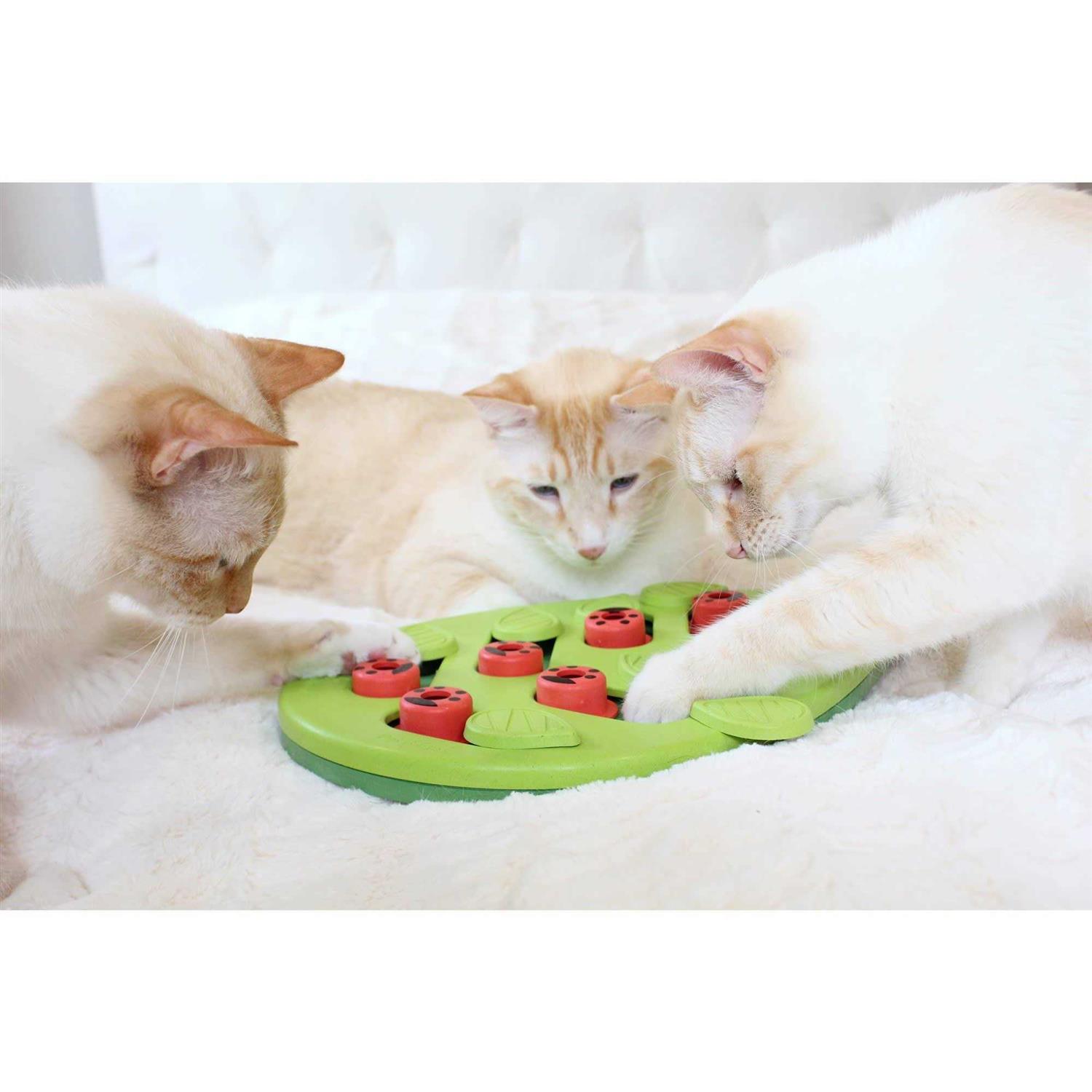 Petstages Buggin Out Puzzle Play Cat Toy - Nail Gallerys